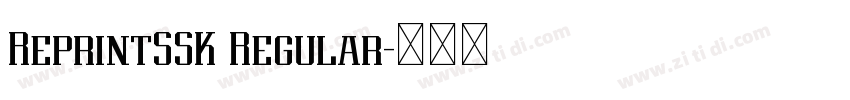 ReprintSSK Regular字体转换